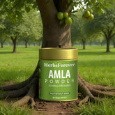 HerbsForever Amla Powder | Emblica officinalis, Vitamin C & Antioxidants, Supports Healthy Immunity, Non-GMO, Vegan, 100 GMS | Natural Superfood for Daily Wellness