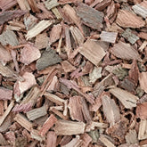 Arjuna (Bark)