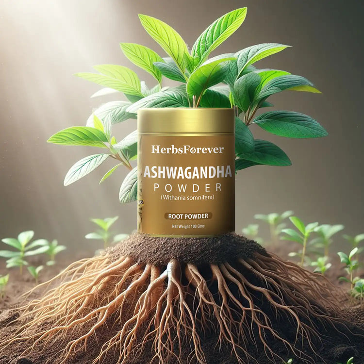 HerbsForever Ashwagandha Powder 100g I Winter Cherry, Non-GMO, Vegan, Gluten-Free I Ayurvedic Stress-Buster Supports Energy Booster, Vitality & Rejuvenator Overall Wellness