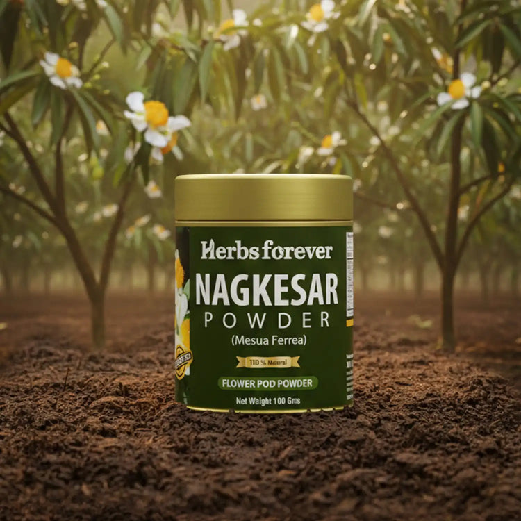 HerbsForever Nagkesar Powder Mesua Ferrea Support Healthy Respiratory System Non GMO, Vegan 100 GMS
