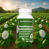 Herbsforever Shankhpushpi Capsules | Convolvulus Pluricaulis | Natural Herbal Supplement for Mental Alertness, Focus & Memory Support | 550mg | 60 Veg Capsules