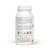 Herbsforever Vidhanga Plus 500 mg Capsules | 60 Veg Capsules | Ayurvedic Gut Cleanse & Detox Support | Helps Support Digestion, Gut Health & Internal Cleansing