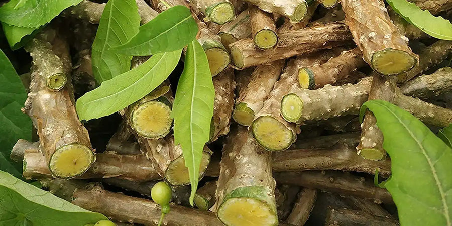Revitalize Your Health with Giloy Powder: A Natural Remedy