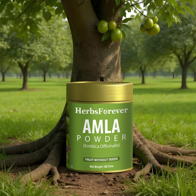 HerbsForever Amla Powder | Emblica officinalis, Vitamin C & Antioxidants, Supports Healthy Immunity, Non-GMO, Vegan, 100 GMS | Natural Superfood for Daily Wellness
