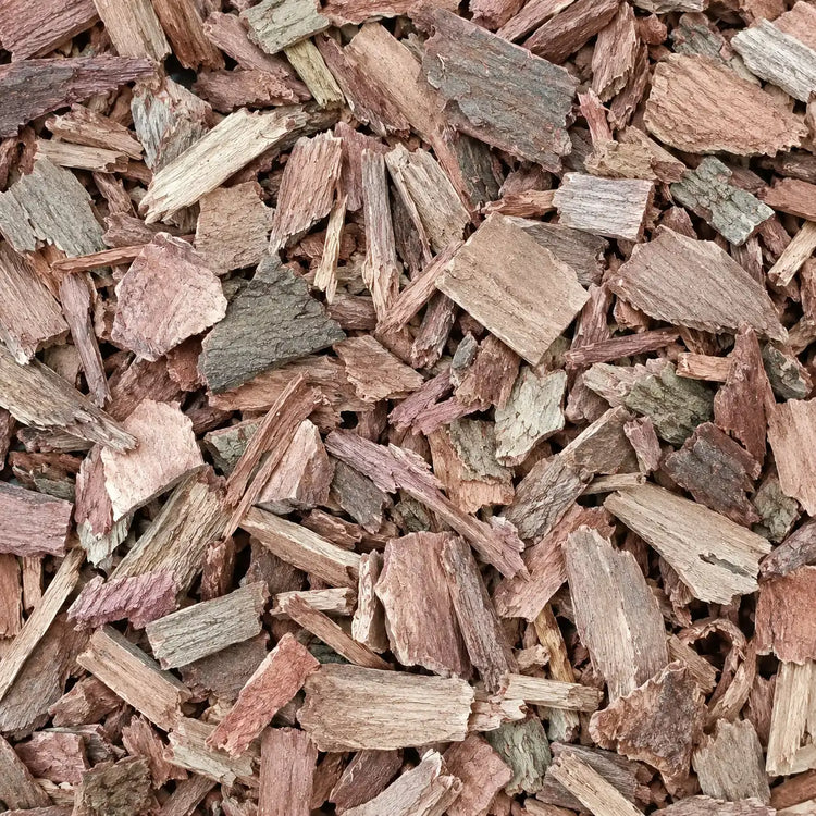 Arjuna (Bark)
