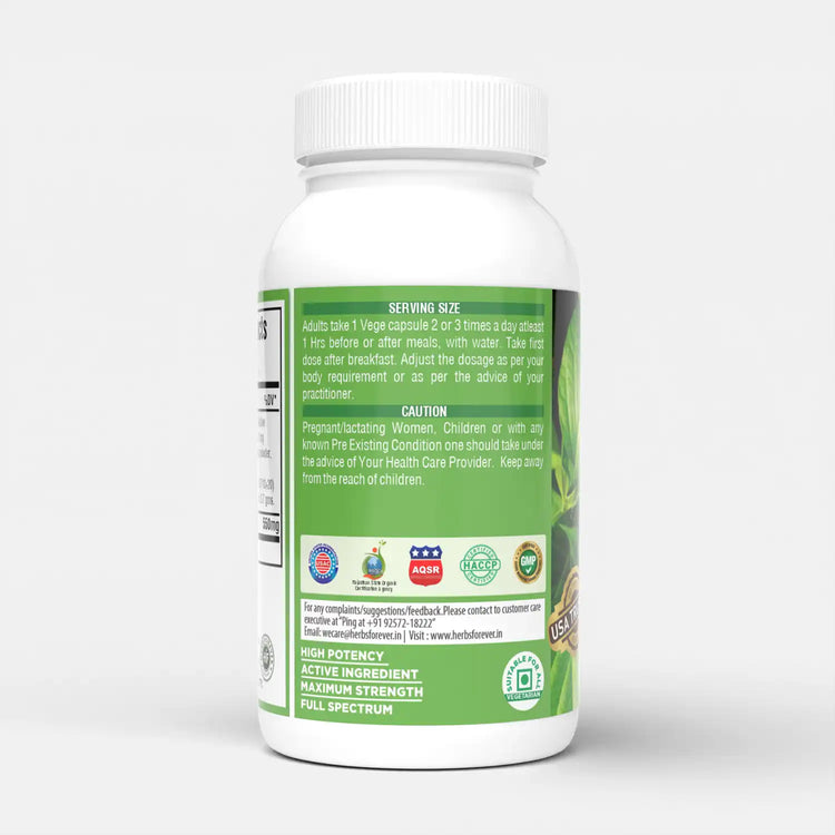 Herbsforever Gurmar Capsules | Gymnema Sylvestre Herbal Supplement | 7:1 Concentrated Extract | Supports Healthy Lifestyle | 60 Veg Capsules|550 mg EACH | Non-GMO & Vegan