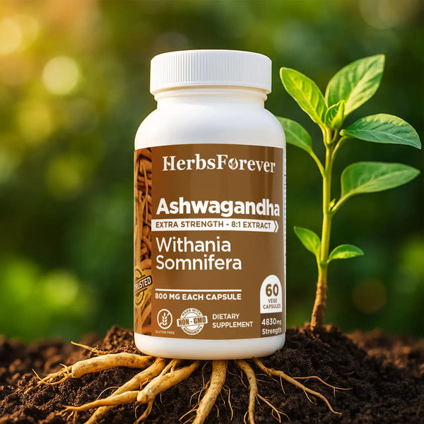 Herbsforever Ashwagandha Capsules Withania Somnifera Withannolides 5% & Alkaloids 1.5% Boost Energy and Performance 60 Vege Capsules 800 Mg Each