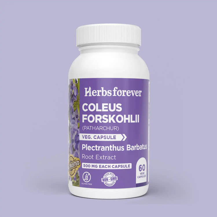 Herbsforever Coleus Forskohlii (Coleus forskohlii) Extract Capsules – Ayurvedic Metabolism & Weight Management Support – Standardized Extract.
