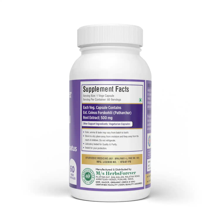 Herbsforever Coleus Forskohlii (Coleus forskohlii) Extract Capsules – Ayurvedic Metabolism & Weight Management Support – Standardized Extract.