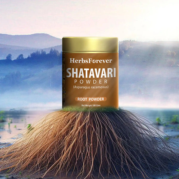 HerbsForever Shatavari Powder Asparagus Racemosus Lactation Support Herb Non GMO, Vegan 100 GMS
