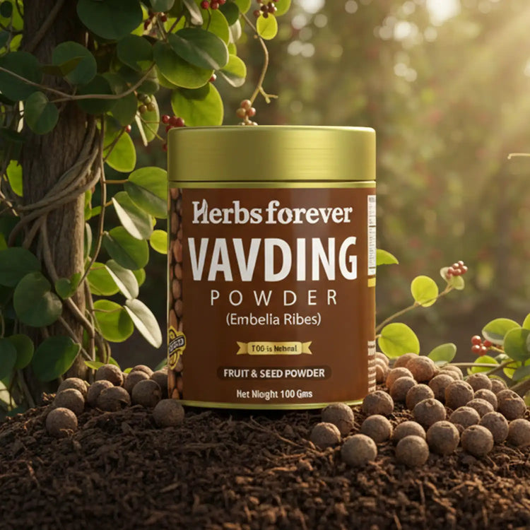 HerbsForever Vidanga (Vavding) Fruit & Seed Powder | Embelia Ribes | Natural Herbal Supplement | Non-GMO, Vegan | 100 GMS